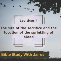 Leviticus 4 - Different sins require different degrees of redemption