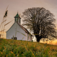 One, Holy, Catholic, and Apostolic Church