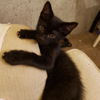 Lgbt Chat I Aida And Friends Chat About Everything Lgbt