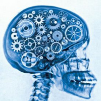 #theREI360show Episode 37: The Importance of Being Self Aware in Real Estate