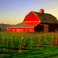 A Realtor Marketing Campaign That Real Estate Investors Should Be Using | Private Money Minute #65