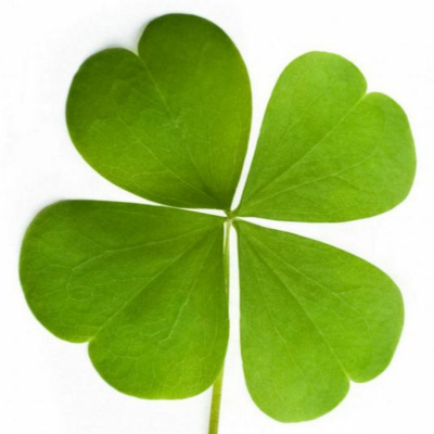 Real Estate Investing