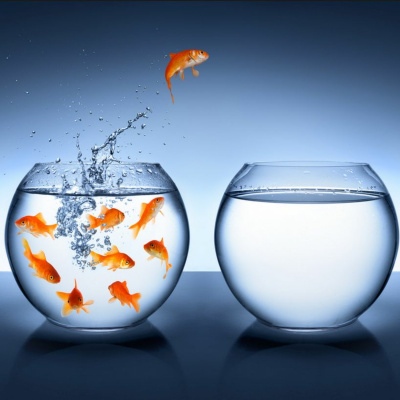 Real Estate Investing