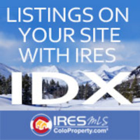 IDX Listings On Your Website