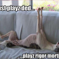 Episode 15 - Limbs of Rigor Mortis