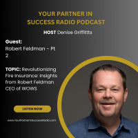 Revolutionizing Fire Insurance: Insights from Robert Feldman