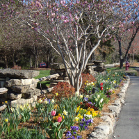 Life On the Lane - Introduction  Diversity in the Ozarks
