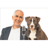 S7E13 - A Dogs Point of View