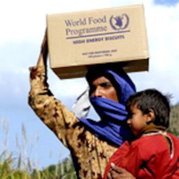 World food security: Interview with WFP staffer and PhD candidate Tareq Abuelhaj