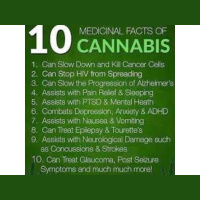 Weedsday Wednesday, A Live, Cannabis Radio Show-Cannabis Marijuana News 2019!