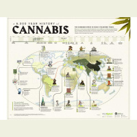 Weedsday Wednesday, A Live, Cannabis Radio Show-Marijuana Cannabis News 2020!