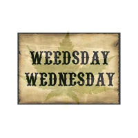 Weedsday Wednesday-Mary Janes Survival Guide!