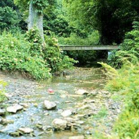 Summary of a Rivers Course.