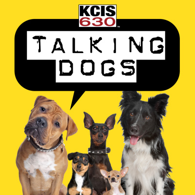 Talking Dogs