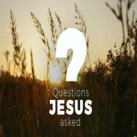 Episode 140: Questions Jesus Asked - Part 7