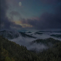 Episode 266: Thanksgiving Leftovers