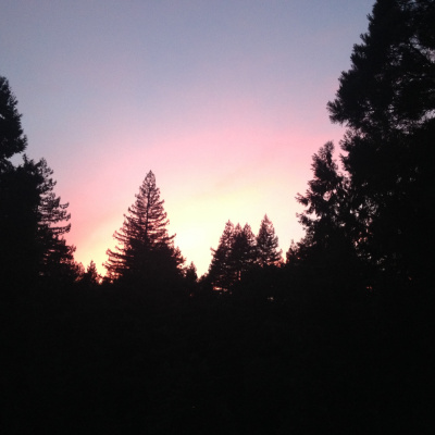 Boulder Creek Community Church