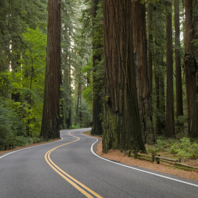 Boulder Creek Community Church