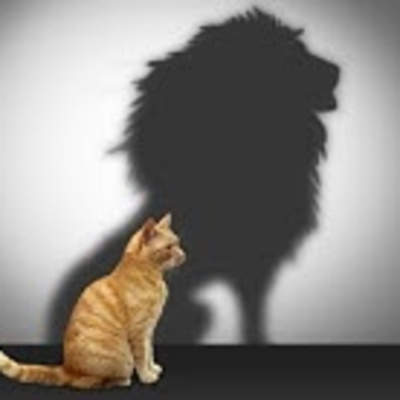 Boulder Creek Community Church