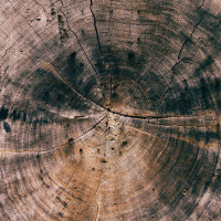 Psalm 23 - The Lord is My Shepherd