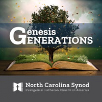 Genesis Generations: A Tale of Two Brothers