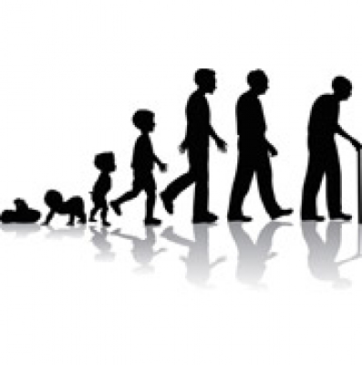 Zapp! English Colloquial (english Version)