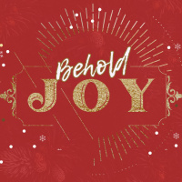 Behold Joy