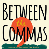 Between the Commas: A Conversation with Martin Brandt