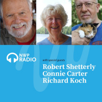 How do we support young people to tell the truth/make a difference?