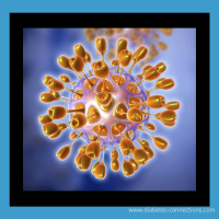 Coronavirus  Type 1 Diabetes - Update