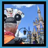 If You Can Dream It, You Can Do It - Don Muchow Ran From Disneyland to Disney World with T1D