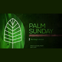 Palm Sunday 2017 - Audio