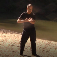 Cobra Chi Gung - Lesson 1