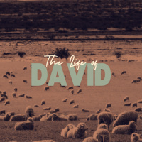 November 17, 2024 - Eric Barton - 2 Samuel 13-15 “Dysfunction”