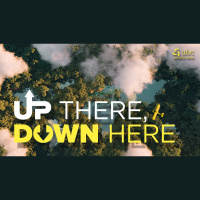 Up There/Everywhere 11 am (Audio)