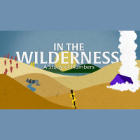 Complaining in the Wilderness 11 AM (Audio)