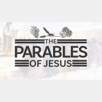 All or Nothing 11 AM (Audio)