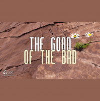 The Good of the Bad - Strength 11 am (Audio)