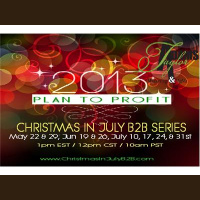 Pt5 Businesses PLAN TO PROFIT: Christmas In July: B2B Series