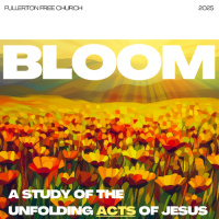 Bloom - Wait and See - Morgan Peterson - 03 16 25