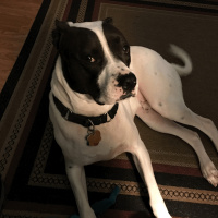 Call-In Bible Study on Mondays