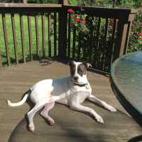 Episode 26: The Resurrection and the Rapture