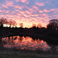 PART 2 HE Decided to Die!