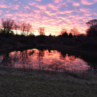 The Time of The Gentiles - Part 1