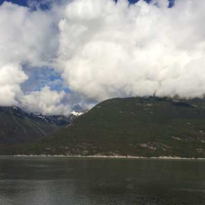 Dr William T Baileys Podcast