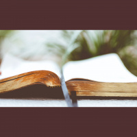 Christian Formation - Gospel of John Lesson 12