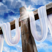 2021 07 07 From Him, Through Him, To Him Romans 8 29 32 Derricke Grey - Audio