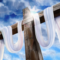 A Believer#x2019s Privileges (Part 2) 1 Peter (16) - Audio