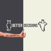 Pre-decide Your Best Decision - Better Decisions, No Ragrets