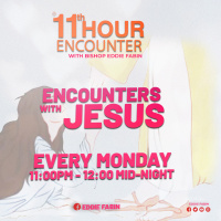 ENCOUNTERS WITH JESUS ( The Joy Of Encountering Jesus - Mary  Elizabeth )